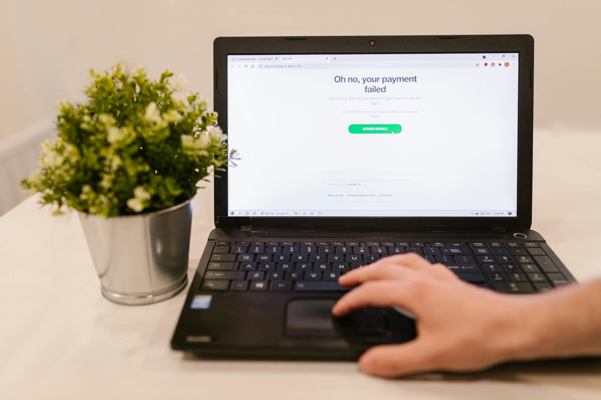 Home 13 Person using laptop with payment failure message on screen and plant beside it.